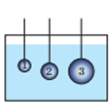 0401vozt-95c9-161x156.png