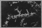 0401vuh1-ccf8-140x96.jpg