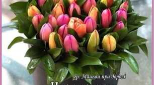 Душа вимагає тиші,  Душа вимагає спокою.