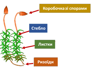 0401vx28-5b13-302x219.png