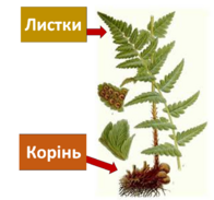0401vx4w-1b8f-196x183.png