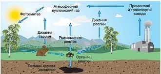 0401vxsm-e0d0-330x153.jpg