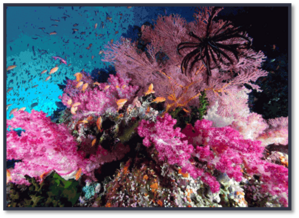 0401vyhz-d3f1-299x218.png