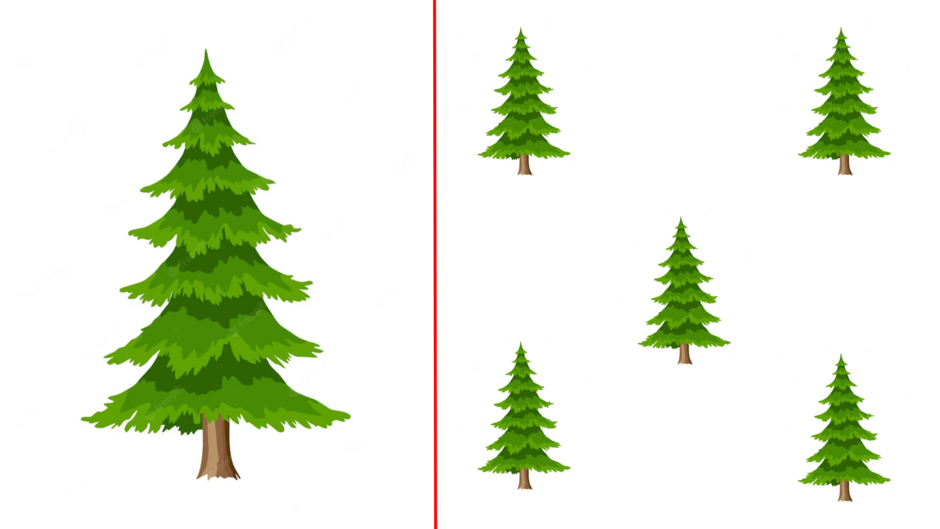 0401vzkk-d134-940x529.png