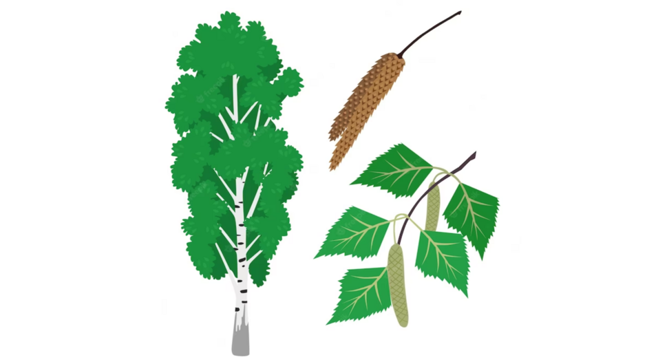 0401vzks-9f2c-940x529.png