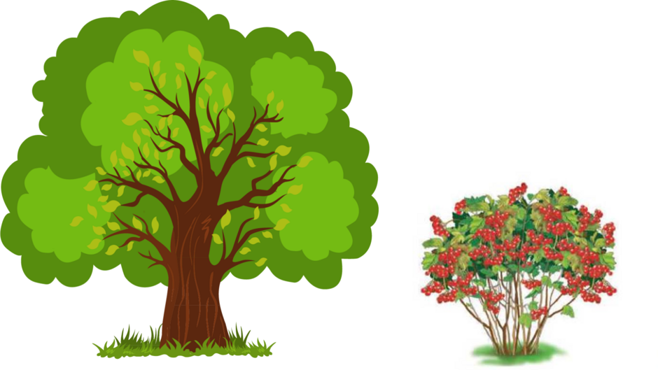 0401vzl3-686a-940x529.png