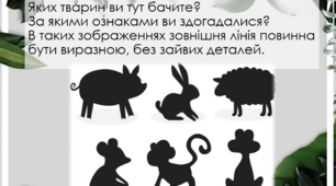 Презентація з теми : "Силует"