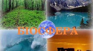 Робочий аркуш з географії для 6 класу за темою "Біосфера".
