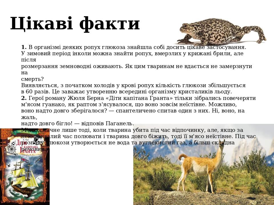 Цікаві факти 1. В організмі деяких ропух глюкоза знайшла собі досить цікаве застосування. У зимовий період інколи можна знайти ропух, вмерзлих у кр...