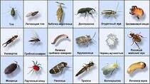 0401w22o-97b0-300x168.jpg