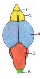 0401w3iz-7aaf-142x277.png