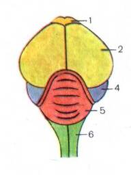 0401w3jp-82e5-192x256.jpg