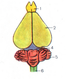 0401w3jy-8904-216x260.png