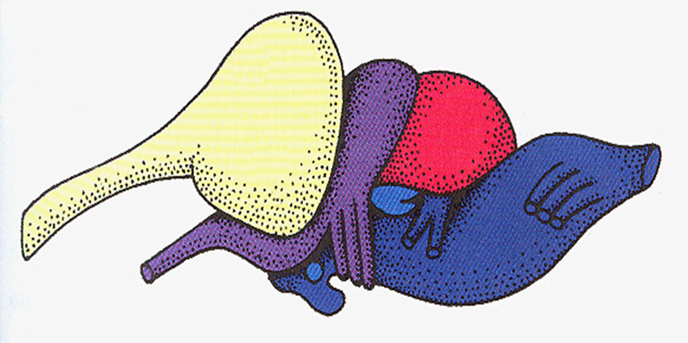 0401w3tc-24c7-770x384.png