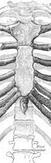 0401w3zg-9b35-74x237.jpg