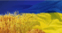 Урок 34. Дихання та газообмін у тварин. Значення процесів дихання. Органи дихання, їх різноманітність