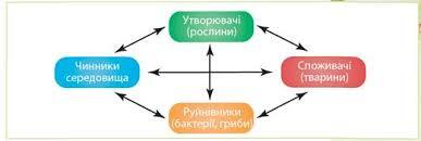 Картинки по запросу Який склад має екосистема
