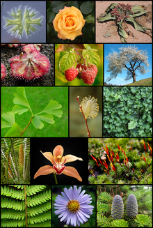 0401w7sk-ffbb-220x327.png