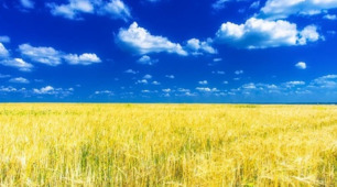 Таблиця на тему: "Міжгалузеві комплекси України"