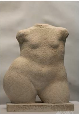 0401wa80-d69c-255x367.png