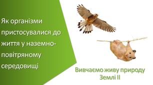Презентація з уроку Пізнаємо природу для 5 класу на тему «Як організми пристосувалися до життя у наземно-повітряному середовищі»