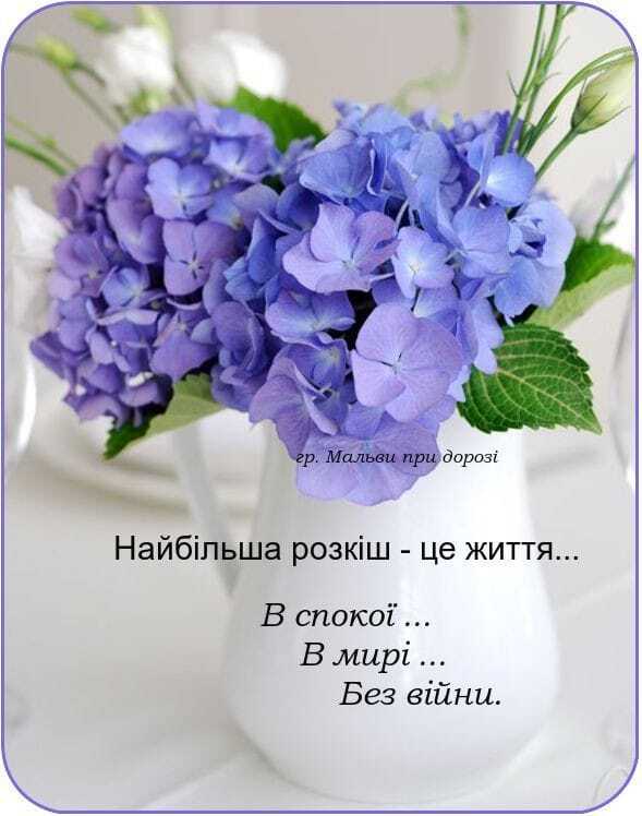 Возможно, это изображение цветок и текст