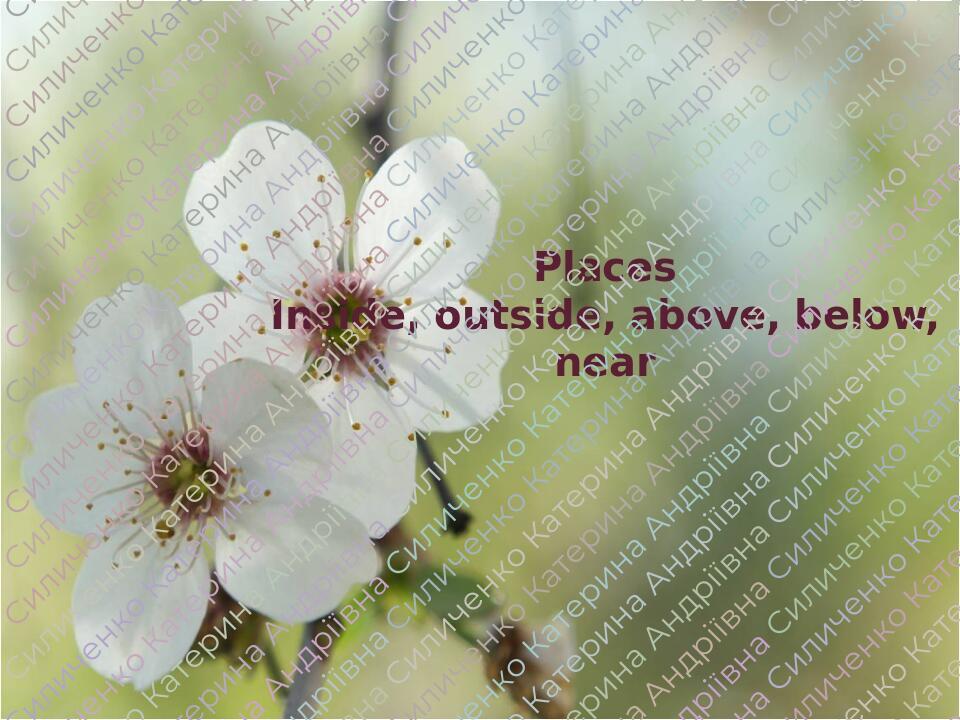 Презентація 