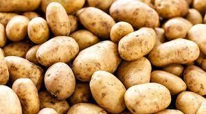 Англійська мова. "The Industrial crops. Potatoes"