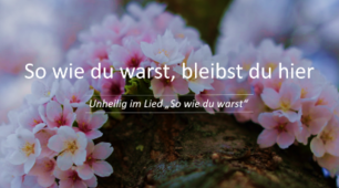 Die Aufgabe zum Video "So wie du warst"