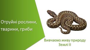 Презентація з уроку Пізнаємо природу для 5 класу на тему «Отруйні рослини, тварини, гриби»