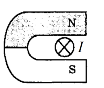 0401wnb7-3026-206x176.png