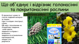 Презентація "Що об'єднує і відрізняє голонасінні та покритонасінні рослини" + практична робота