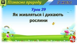 Пізнаємо природу. Урок 39. Як живляться і дихають рослини