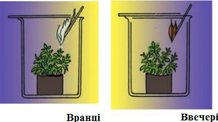 0401wpxn-7a5e-218x122.png