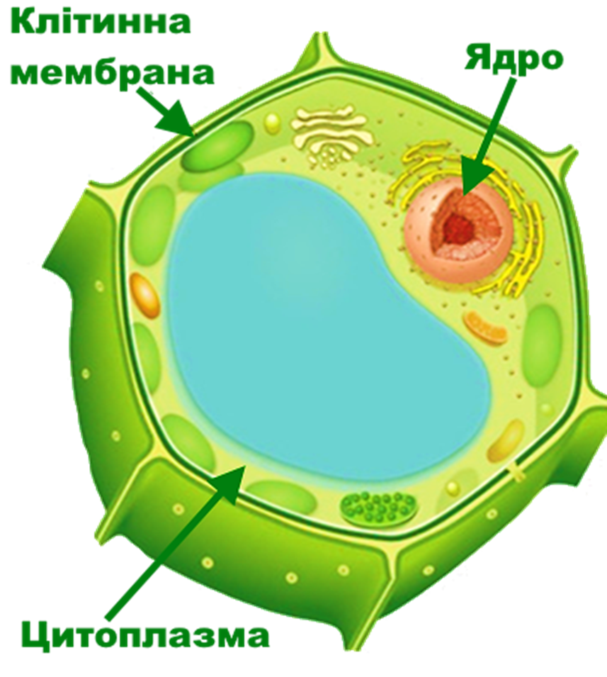 0401wq50-44f5-857x955.png