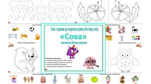 Зошит з вправами для синхронного розвитку обох півкуль мозку "Сова" малюємо двома руками
