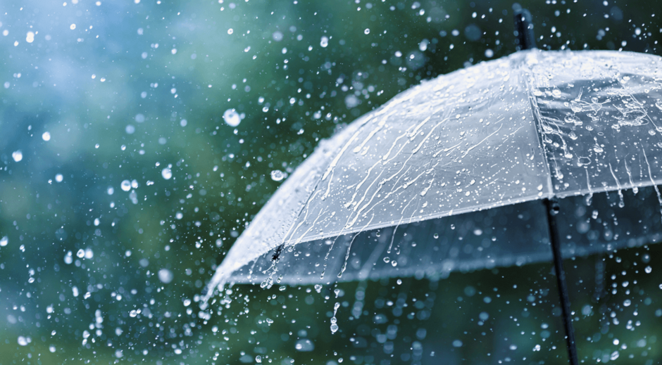 0401www6-9064-940x519.png