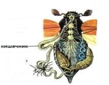 0401wxol-6ef4-214x167.png