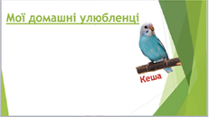 0401wxt5-c714-231x130.png