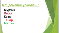 0401wxt9-14cf-232x130.png