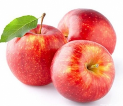 0401wzn3-5a64-304x261.png