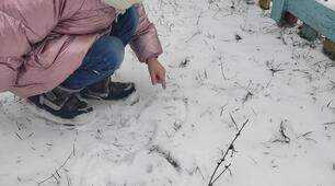 Консультація для вихователів  «ОСОБЛИВА ДИТИНА»