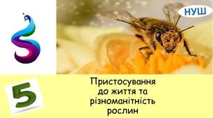 Презентація на тему: Пристосування до життя та різноманітність рослин