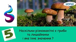 Презентація на тему: Наскільки різноманітні є гриби та лишайники і яке їхнє значення ?