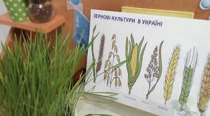 Презентація "Від зернини до хлібини"