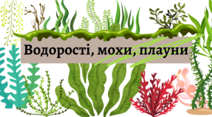 Презентація до теми "Водорості,мохи,плауни" у 5 класі НУШ