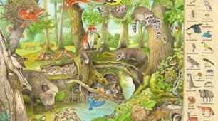 Unsere Tiere