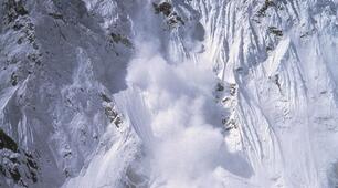 Is the Earth in Danger ?10 form