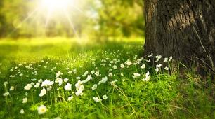  NATURE AND THE ENVIRONMENT 9 клас с.163 (до підручника О.Карп'юк)
