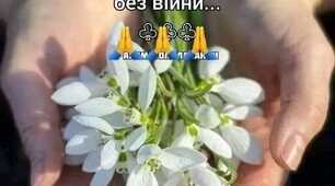Весна і жінка - між собою схожі